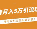 老古董·抖音月入5万引流玩法,看看老司机如何玩转抖音(附赠:抖音另类引流思路)-稀缺资源库