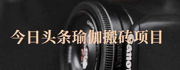 猎人社区·今日头条瑜伽搬砖项目，单号一天几十收入，可以批量操作！-稀缺资源库