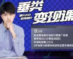 张sir·垂类变现课,抖音带货新手才看粉丝量,高手都看变现效率-稀缺资源库