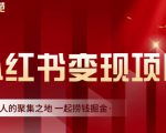 渣圈学苑·小红书虚拟资源变现项目,一起捞钱掘金价值1099元-稀缺资源库