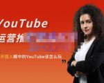 外国人眼中的YouTube该怎么玩?Elisa·YouTube运营推广实战技巧-稀缺资源库