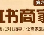贾真-小红书商家营第6期商家版,21天带货陪跑课,让商家丢掉付流量-稀缺资源库