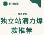 【跨境B哥】独立站潜力爆款选品推荐,测款出单率高达百分之80-稀缺资源库