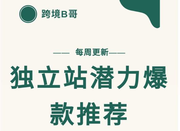 【跨境B哥】独立站潜力爆款选品推荐，测款出单率高达百分之80-稀缺资源库