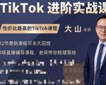 大山老师TikTok进阶实战课:账号详解,流量运营,实战变现,助力你成功出海-稀缺资源库