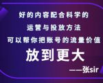 张sir账号流量增长课,告别海王流量,让你的流量更精准-稀缺资源库