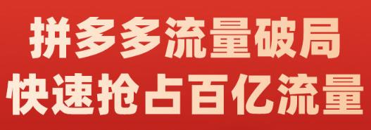 阿杰·拼多多流量破局:如何打黑标，爆款的思路，拼多多流量框架，快速抢占百亿流量-稀缺资源库
