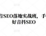 王通·抖音SEO落地实战班,手手带你做好音抖SEO-稀缺资源库