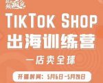 疯人院:TikTok Shop出海训练营（一店卖全球)，出海抢占全球新流量-稀缺资源库