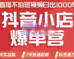 推易电商·2022年抖音小店爆单营，不直播、不拍短视频、日出1000单，暴力玩法-稀缺资源库