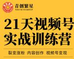 张萌21天视频号实战训练营，裂变涨粉、内容创作、视频号变现 价值298元-稀缺资源库