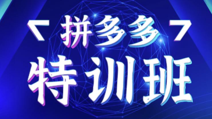 星雪教育·拼多多基础班+进阶班+突破班，用系统的学习模式快速改变现状价值3580元-稀缺资源库