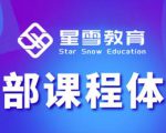 星雪教育淘系高级班,更全的运营提升方案,零基础由浅入深,店铺最新玩法-稀缺资源库