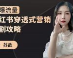 苏歆:小红书穿透式营销收割攻略,引爆流量,助你玩转小红书-稀缺资源库