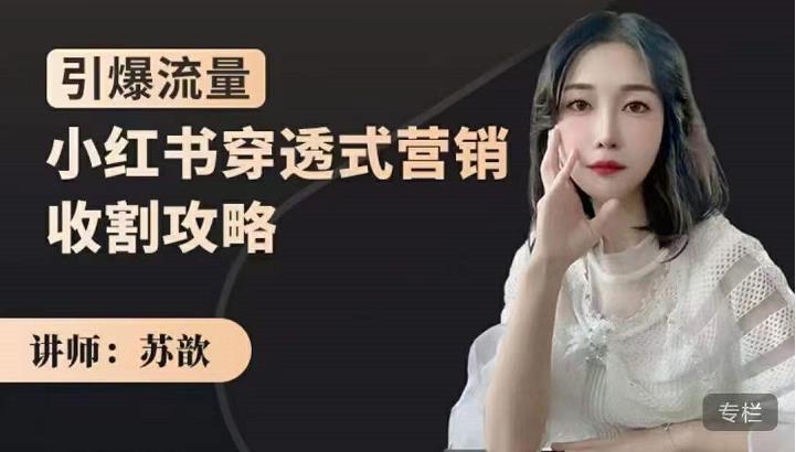 苏歆：小红书穿透式营销收割攻略，引爆流量，助你玩转小红书-稀缺资源库