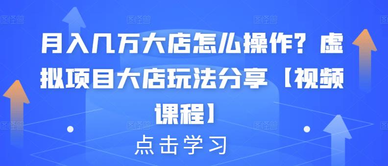 月入几万大店怎么操作？虚拟项目大店玩法分享【视频课程】-稀缺资源库