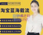 2022淘宝蓝海截流攻略,淘宝蓝海截流选品上货实操讲解-稀缺资源库
