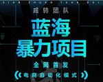 引流哥蓝海暴力躺赚项目:无需发圈无需引流无需售后,每单赚50-500(教程+线报群)-稀缺资源库