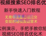 宋老师·短视频搜索SEO优化，教你10分钟创作一个短视频，三天排名上第一-稀缺资源库