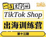 TikTokShop出海训练营(第十三期),打开全球流量新思维,出海抢占全球新流量,一店卖全球-稀缺资源库