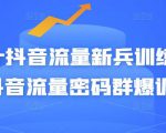 Peter抖音流量新兵训练营-破解抖音流量密码群爆训练营(新兵)-稀缺资源库