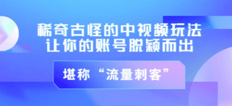 不讲李·稀奇古怪的冷门中视频冷门玩法，让你的账号脱颖而出，成为流量刺客！（图文+视频）-稀缺资源库