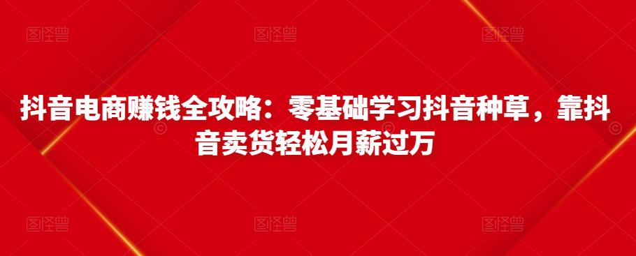 抖音电商赚钱全攻略：零基础学习抖音种草，靠抖音卖货轻松月薪过万-稀缺资源库