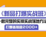 凌童《新品打爆实战班》,一套完整的实操实战落地方法,打爆链接超2000+(28节课)-稀缺资源库