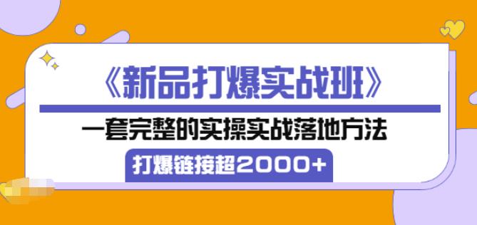 凌童《新品打爆实战班》,一套完整的实操实战落地方法，打爆链接超2000+（28节课)-稀缺资源库