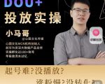小马哥-Dou+投放实操课,抖加投放,随心推,付费起号逻辑,打破低播放转化-稀缺资源库