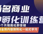 杨名商业IP孵化训练营,从商业到内容到转化一站式学 价值5980元-稀缺资源库