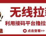 最新接码无限拉新项目，利用接码平台赚拉新平台差价，轻松日赚500+-稀缺资源库