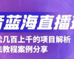 抖音最新蓝海直播玩法，3分钟赚30元，一天轻松1000+，只要你去直播就行【详细玩法教程】-稀缺资源库