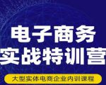 民赛电气内部出品:电子商务实战特训营,全方位带你入门电商,308种方式玩转电商-稀缺资源库