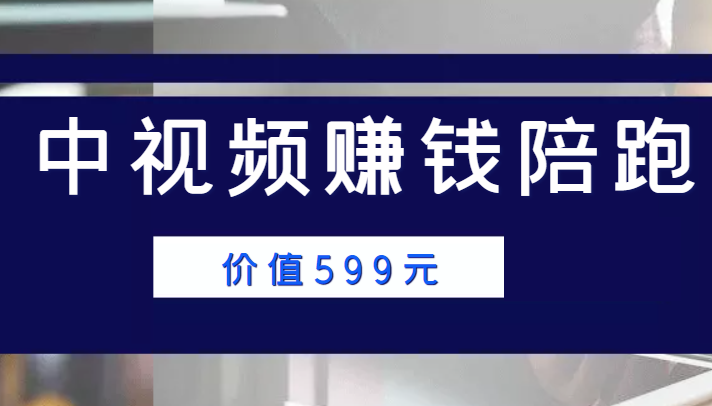 中视频赚钱陪跑，卖中视频账户赚钱收益陪跑项目（价值599元）-稀缺资源库