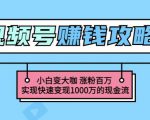 玩转微信视频号赚钱:小白变大咖涨粉百万实现快速变现1000万的现金流-稀缺资源库