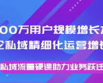 8000万用户规模增长方法论私域精细化运营增长,私域流量硬课助力业务跃迁-稀缺资源库