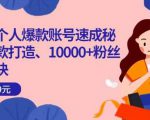 小红书个人爆款账号速成秘籍，爆款打造、10000+粉丝引流秘诀-稀缺资源库