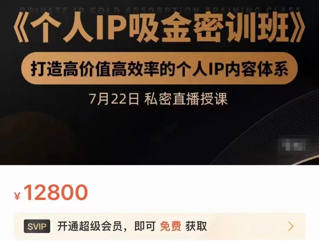 个人IP吸金密训班，打造高价值高效率的个人IP内容体系（价值12800元）-稀缺资源库