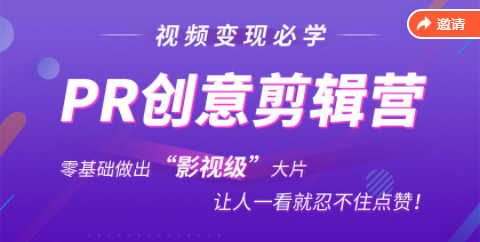 抖音赚钱必学的PR创意剪辑：零基础做出“影视级”大片，让人一看就忍不住为你点赞！-稀缺资源库