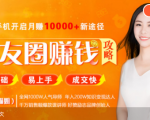 全网千万人气导师亲授:零基础/易上手的朋友圈赚钱攻略,让你轻松月入过万-稀缺资源库