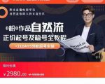 0粉0作品自然流正价起号及稳号全教程，专业自然流起号机构流程化教学（价值2980元）-稀缺资源库