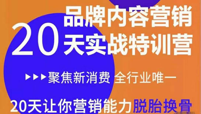 《内容营销实操特训营》20天让你营销能力脱胎换骨（价值3999）-稀缺资源库