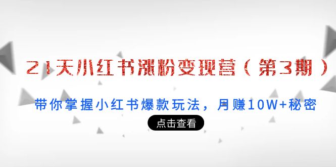 21天小红书涨粉变现营（第3期）：带你掌握小红书爆款玩法，月赚10W+秘密-稀缺资源库