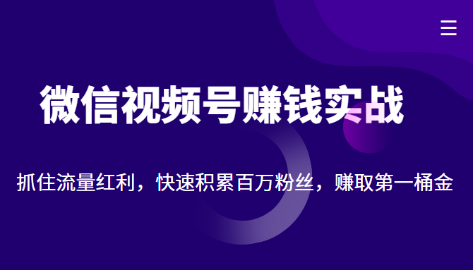 微信视频号赚钱实战：抓住流量红利，快速积累百万粉丝，赚取你的第一桶金-稀缺资源库