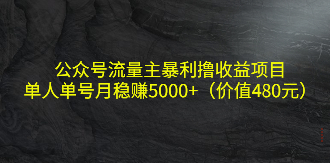 公众号流量主暴利撸收益项目，单人单号月稳赚5000+（价值480元）-稀缺资源库