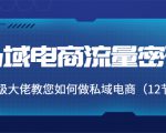 私域电商流量密码:千万级大佬教您如何做私域电商(12节课)-稀缺资源库