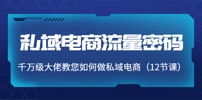 私域电商流量密码：千万级大佬教您如何做私域电商（12节课）-稀缺资源库