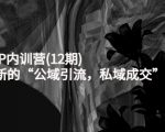 新媒体IP内训营(12期)，一套全新的“公域引流，私域成交”IP打法，直接带走-稀缺资源库