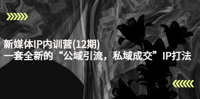 新媒体IP内训营(12期)，一套全新的“公域引流，私域成交”IP打法，直接带走-稀缺资源库